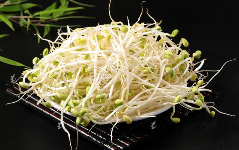 無公害綠色豆芽，怎么生產(chǎn)出來的？全套生產(chǎn)過程如此方便智能